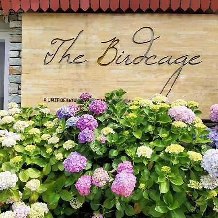 The Birdcage, Mukteshwar Hotel Buitenkant foto